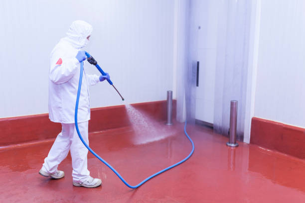 Best Rust and Stain Removal in Glen Dale, WV